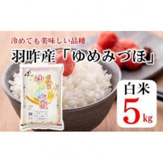 石川県産 ゆめみづほ 5kg(5kg&times;1袋) 白米【令和5年産】