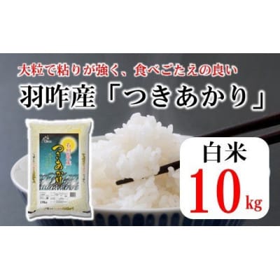 石川県産　つきあかり　10kg(10kg×1袋)　白米【令和5年産】