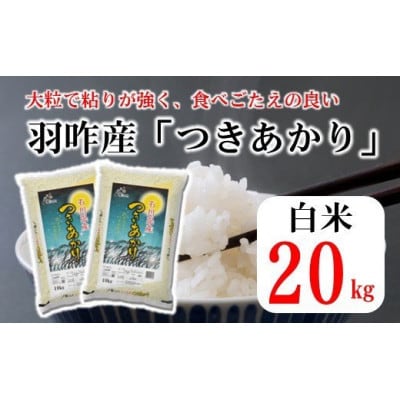 石川県産　つきあかり　20kg(10kg×2袋)　白米【令和5年産】
