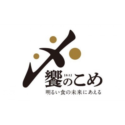 石川県産　つきあかり　20kg(10kg×2袋)　白米【令和5年産】