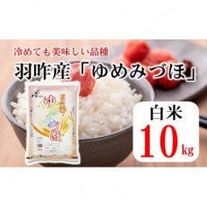 石川県産　ゆめみづほ　10kg(10kg×1袋)　白米【令和4年産】