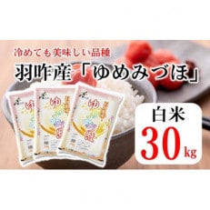 石川県産 ゆめみづほ 20kg(10kg×2袋) 白米【令和5年産】 | お礼品詳細