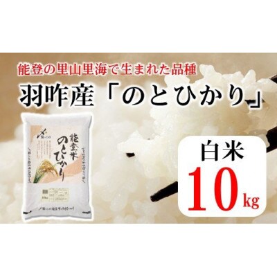 石川県産　能登米のとひかり　10kg(10kg×1袋)　白米【令和4年産】