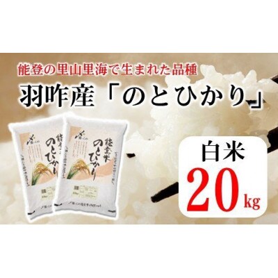石川県産　能登米のとひかり　20kg(10kg×2袋)　白米【令和4年産】