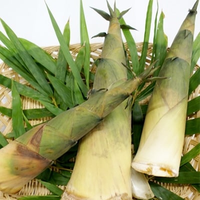 沖縄のたけの子　180g×8袋[さとふる限定]