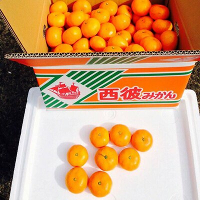 温州早生みかん(ご家庭用)7kg箱