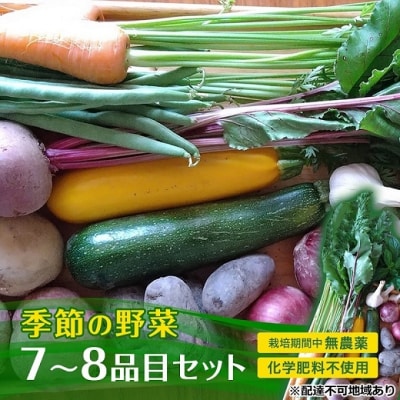 季節の野菜 7～8品目 セット 栽培期間中 無農薬 化学肥料不使用  [No.5735-2019]