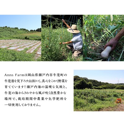 季節の野菜 7～8品目 セット 栽培期間中 無農薬 化学肥料不使用  [No.5735-2019]