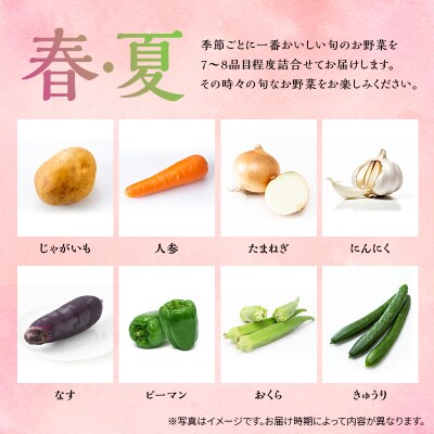 季節の野菜 7～8品目 セット 栽培期間中 無農薬 化学肥料不使用  [No.5735-2019]
