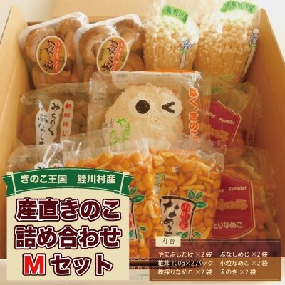 きのこ王国　鮭川村産　きのこセット　M
