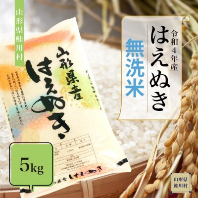 <令和4年産米受付> 鮭川村一番人気品種! はえぬき <無洗米> 5kg (5kg×1袋) | ふるさと納税のお礼品