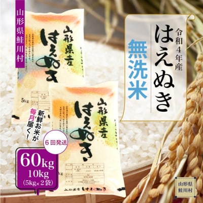 <令和4年産米> 鮭川村一番人気品種! はえぬき<無洗米> 60kg定期便 (10kg×6回お届け) | ふるさと納税のお礼品