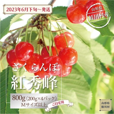 先行受付! <令和5年産> 鮭川村産さくらんぼ <紅秀峰> 800g(200g×4P) ご自宅用に! | ふるさと納税のお礼品