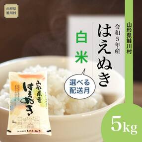 先行受付 令和5年産 鮭川村 はえぬき 【白米】 5kg <2023年11月中旬発送>