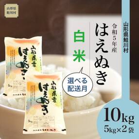 先行受付 令和5年産 鮭川村 はえぬき 【白米】 10kg <2023年10月下旬発送>