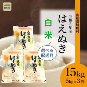 先行受付 令和5年産 鮭川村 はえぬき 【白米】 15kg <2023年11月上旬発送>