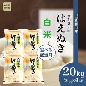 先行受付 令和5年産 鮭川村 はえぬき 【白米】 20kg <2023年11月下旬発送>