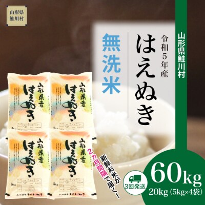 <令和5年産米>はえぬき【無洗米】定期便60kg(20kg×3回)山形県 鮭川村
