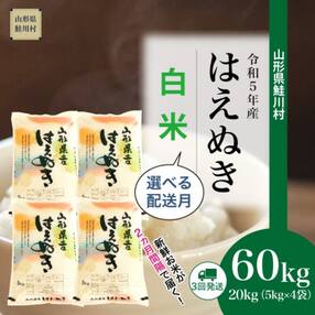 先行受付 <初回2023年12月下旬発送> 令和5年産 はえぬき【白米】60kg(20kg×3回)