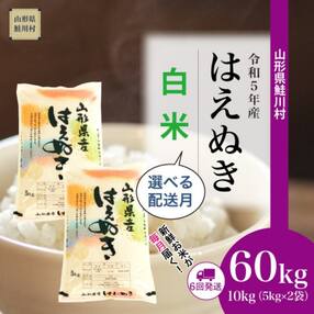 先行受付 <初回2023年12月上旬発送> 令和5年産 はえぬき【白米】60kg(10kg×6回)