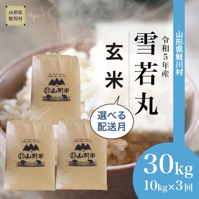 <令和5年産米> 雪若丸 【玄米】定期便 30kg(10kg×3回お届け)山形県 鮭川村