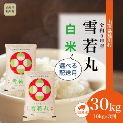 <令和5年産米> 雪若丸 【白米】定期便 30kg(10kg×3回お届け)山形県 鮭川村