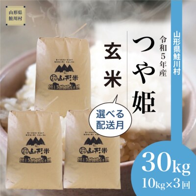 <令和5年産米> つや姫 【玄米】定期便 30kg(10kg×3回お届け)山形県 鮭川村