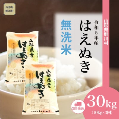 <令和5年産米> はえぬき 【無洗米】定期便 30kg(10kg×3回お届け)山形県 鮭川村
