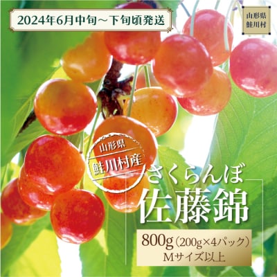 [2024年6月中旬～発送]　鮭川村のさくらんぼ<佐藤錦>　200g×4パック