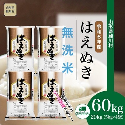 ＜6年産新米受付＞令和6年10月下旬配送開始　はえぬき【無洗米】60kg定期便(20kg×3回)