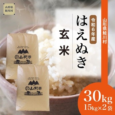 はえぬき 特A 30kg 玄米 山形県庄内 令和6年産 全国送料無料 令和6年度 はえぬき 特Aランク 山形県産 30キロ玄米