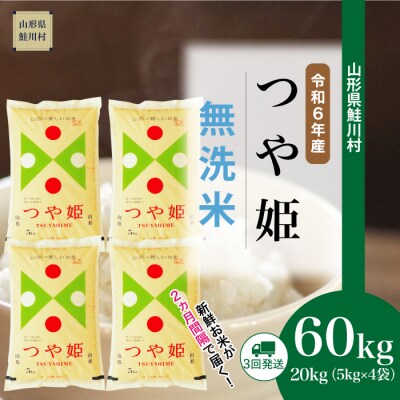 <新米受付>令和6年10月下旬配送開始　特別栽培米　つや姫【無洗米】60kg定期便(20kg×3回)