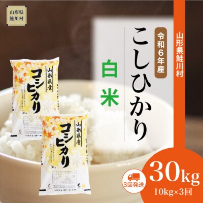 ぴっぴ様専用 令和6年 新米コシヒカリ 白米30kg（令和6年産新米