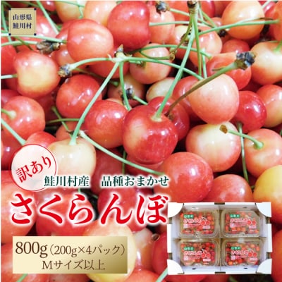 【令和7年産 早期受付】★訳あり★　鮭川村産さくらんぼ <品種おまかせ>800g(200g×4P)