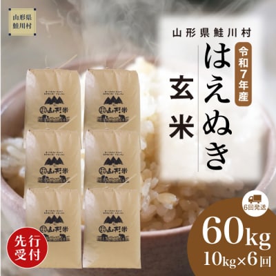 <7年産米先行受付>令和7年10月上旬発送開始 はえぬき【玄米】60kg定期便(10kg×6回)