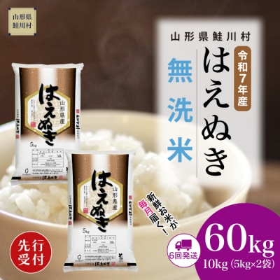 ＜7年産米先行受付＞令和7年11月中旬発送開始 はえぬき【無洗米】60kg定期便(10kg×6回)