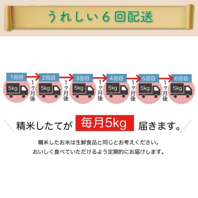 ＜7年産米先行受付＞令和7年12月中旬発送開始 はえぬき【無洗米】30kg定期便(5kg×6回)