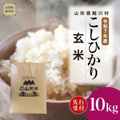 ＜7年産米先行受付＞令和7年11月上旬発送 こしひかり【玄米】10kg(10kg×1袋)