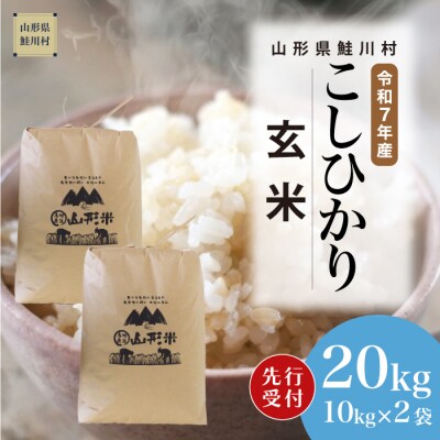 ＜7年産米先行受付＞令和7年11月上旬発送 こしひかり【玄米】20kg(10kg×2袋)