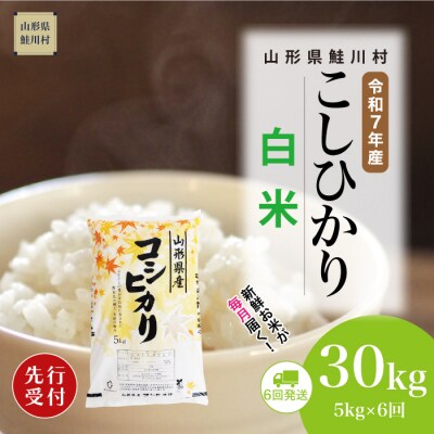 ＜7年産米先行受付＞令和7年11月下旬発送開始 こしひかり【白米】30kg定期便(5kg×6回)