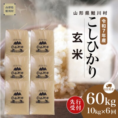 ＜7年産米先行受付＞令和7年12月中旬発送開始 こしひかり【玄米】60kg定期便(10kg×6回)