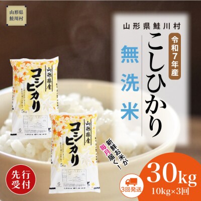 ＜7年産米先行受付＞令和7年12月下旬発送開始 こしひかり【無洗米】30kg定期便(10kg×3回)