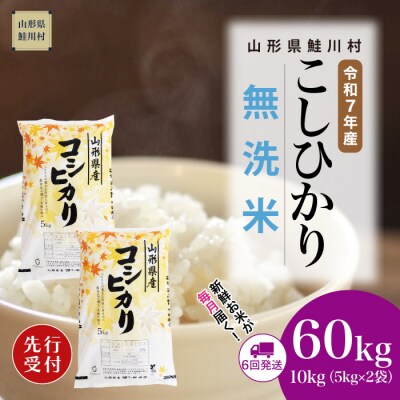 ＜7年産米先行受付＞令和7年12月下旬発送開始 こしひかり【無洗米】60kg定期便(10kg×6回)