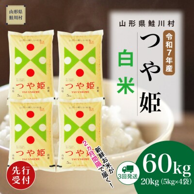 ＜7年産米先行受付＞令和7年11月上旬発送開始 特栽つや姫【白米】60kg定期便(20kg×3回)