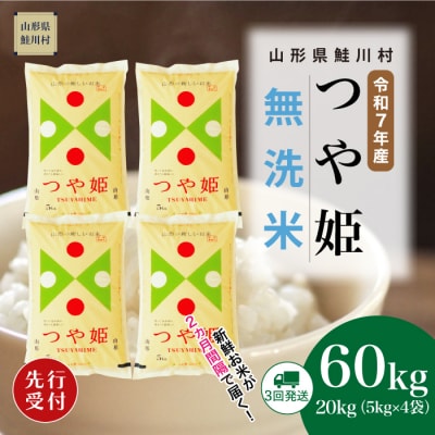 ＜7年産米先行受付＞令和7年11月上旬発送開始 特栽つや姫【無洗米】60kg定期便(20kg×3回)