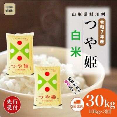＜7年産米先行受付＞令和7年11月下旬発送開始 特栽つや姫【白米】30kg定期便(10kg×3回)