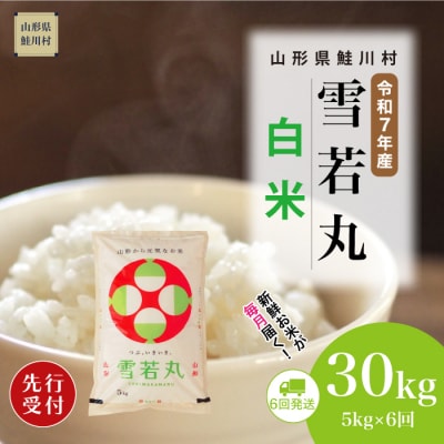 ＜7年産米先行受付＞令和7年11月上旬発送開始 雪若丸【白米】30kg定期便(5kg×6回)