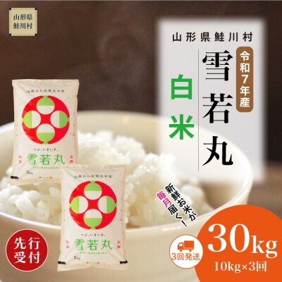 ＜7年産米先行受付＞令和7年11月中旬発送開始 雪若丸【白米】30kg定期便(10kg×3回)