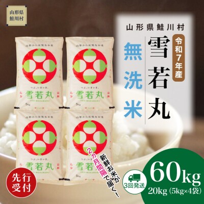 ＜7年産米先行受付＞令和7年11月下旬発送開始 雪若丸【無洗米】60kg定期便(20kg×3回)