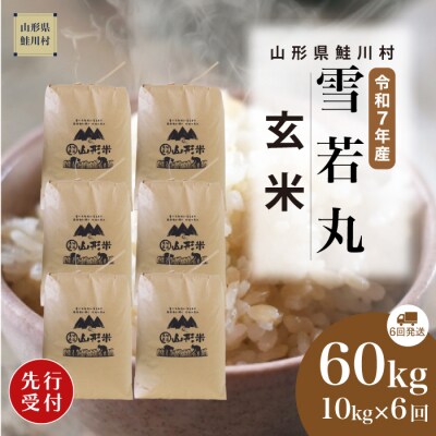 ＜7年産米先行受付＞令和7年12月上旬発送開始 雪若丸【玄米】60kg定期便(10kg×6回)